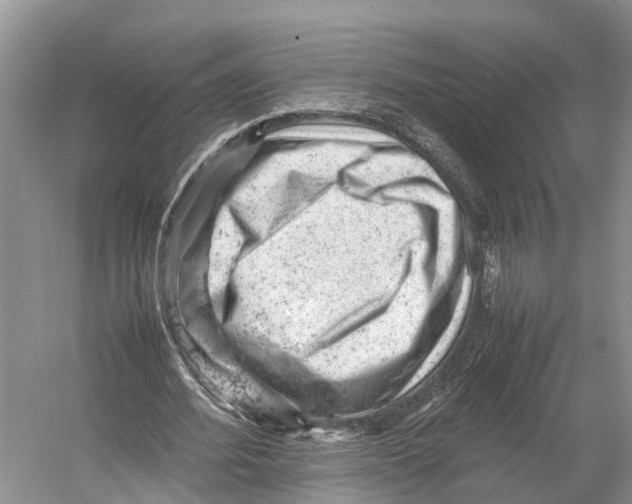 X0000053150580200508081413