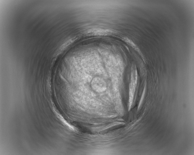 X0000053150581200508081413