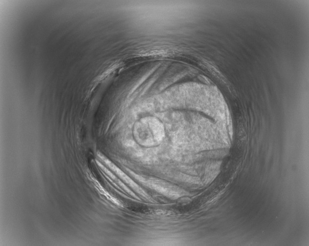 X0000053150585200508081413