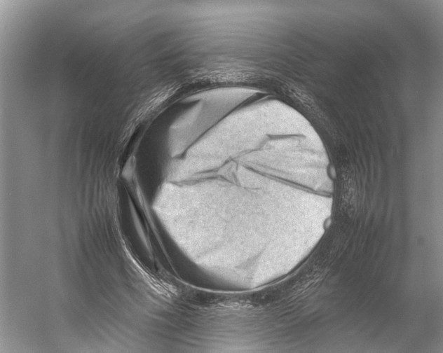 X0000053150586200508081413