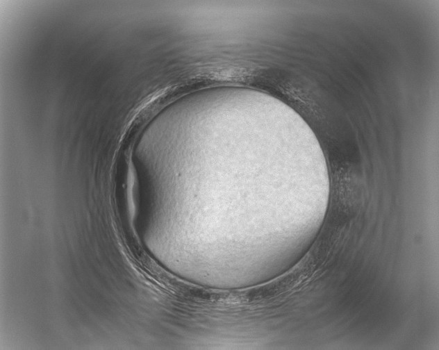 X0000053150587200508081412