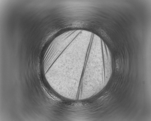 X0000053150588200508081412