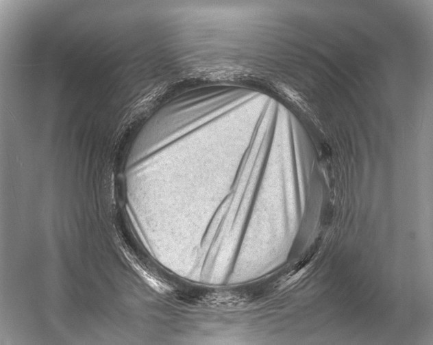 X0000053150589200508081412