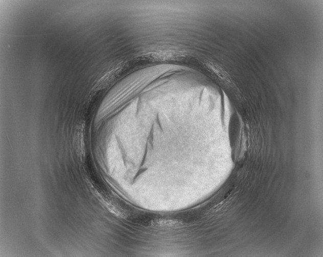 X0000053150590200508081412