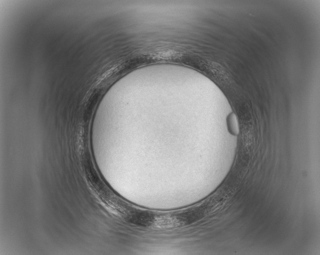 X0000053150591200508081412