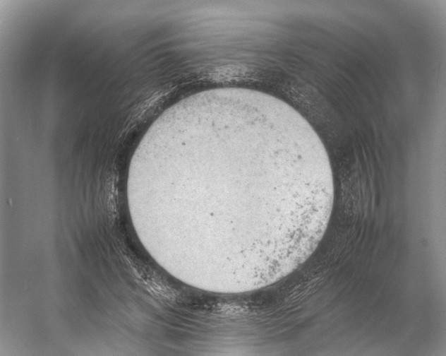 X0000053150592200508081412