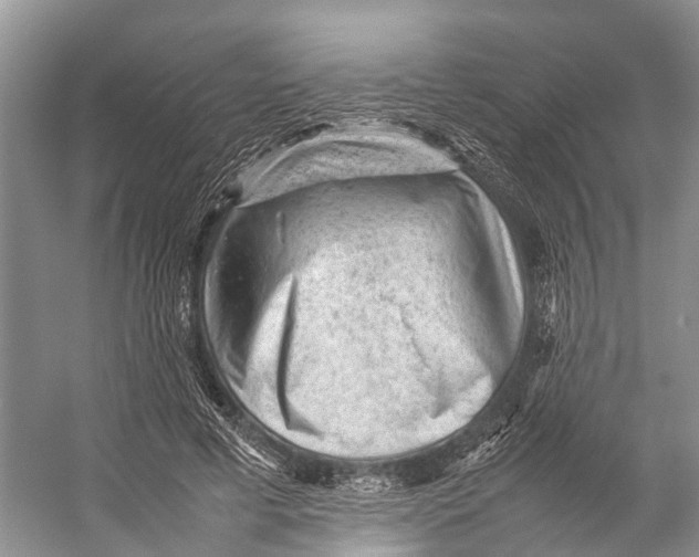 X0000053150593200508081412