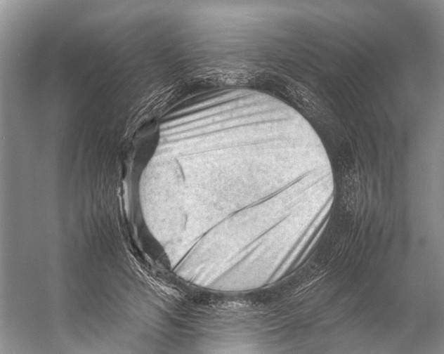 X0000053150594200508081412