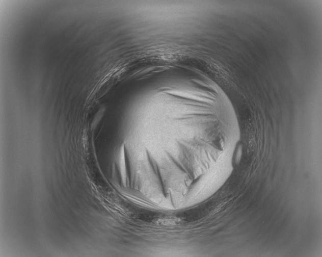 X0000053150595200508081412