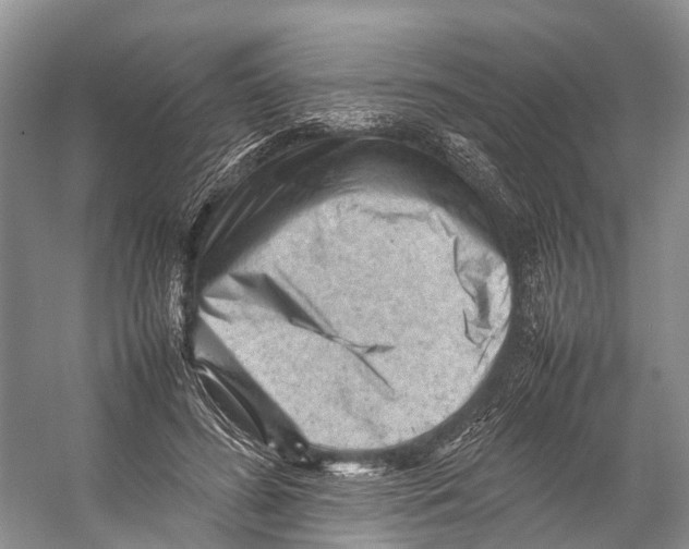 X0000053150596200508081412