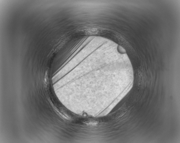 X0000053150598200508081412