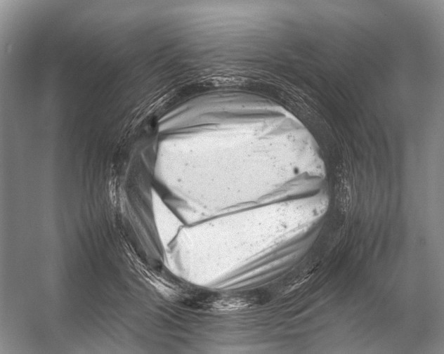 X0000053150604200508081412