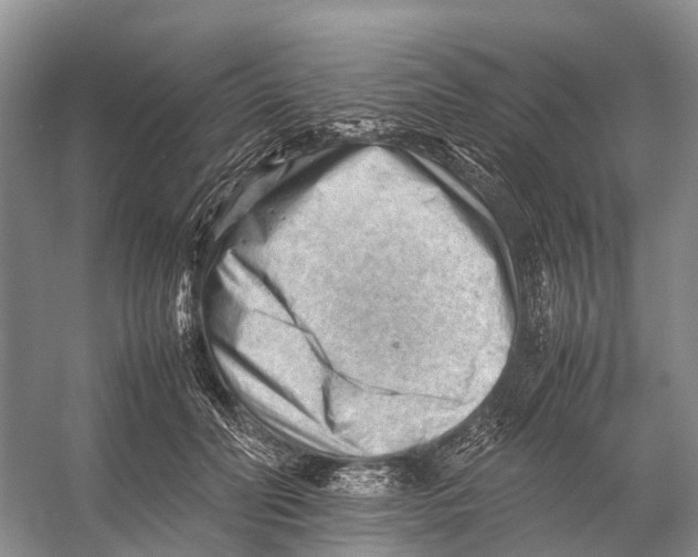 X0000053150606200508081412