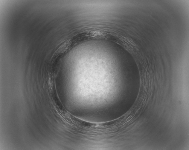 X0000053150607200508081412