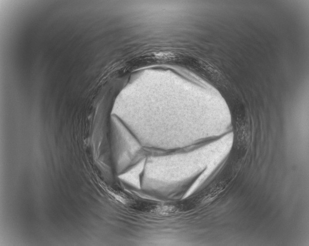 X0000053150609200508081412