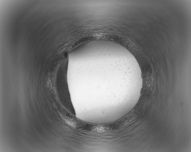 X0000053150611200508081412