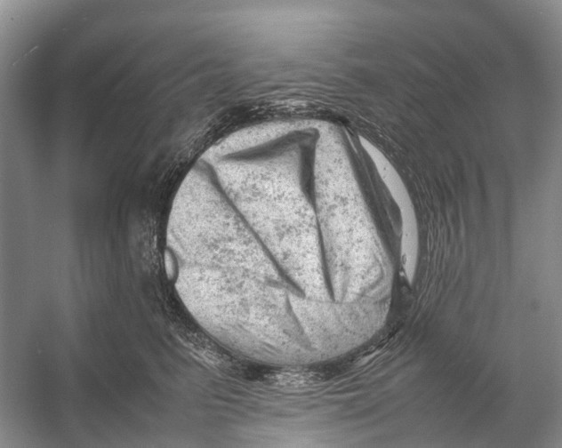 X0000053150615200508081412