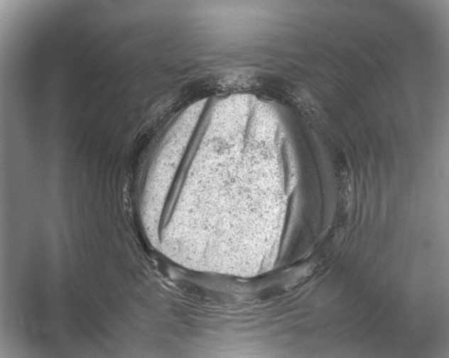 X0000053150619200508081412