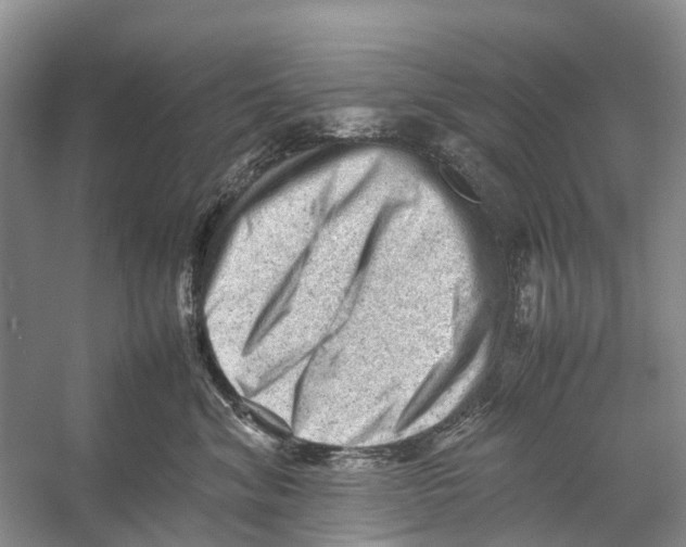 X0000053150620200508081412