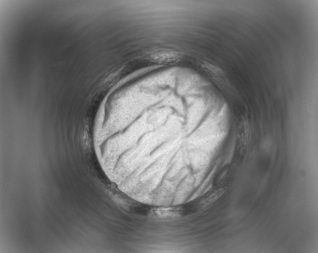 X0000053150622200508081412