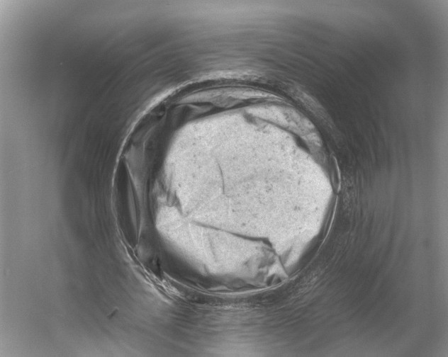 X0000053150628200508081411