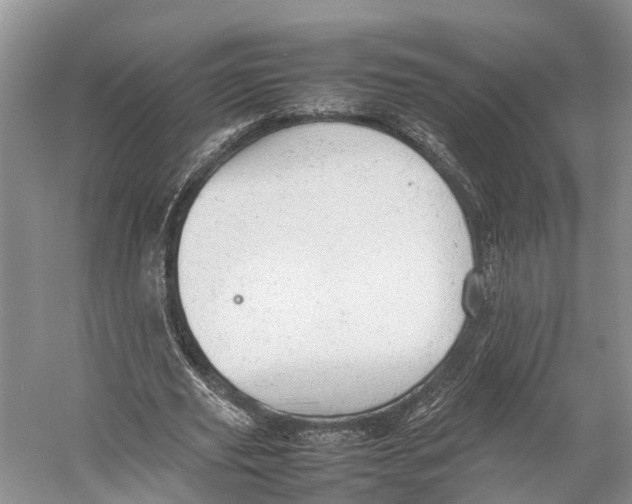 X0000053150629200508081411