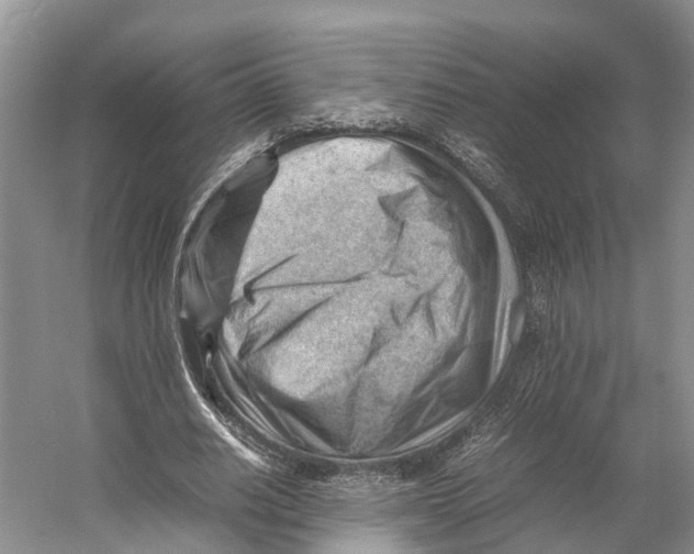 X0000053150630200508081411