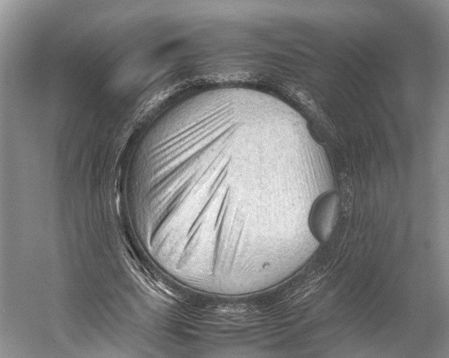 X0000053150631200508081411