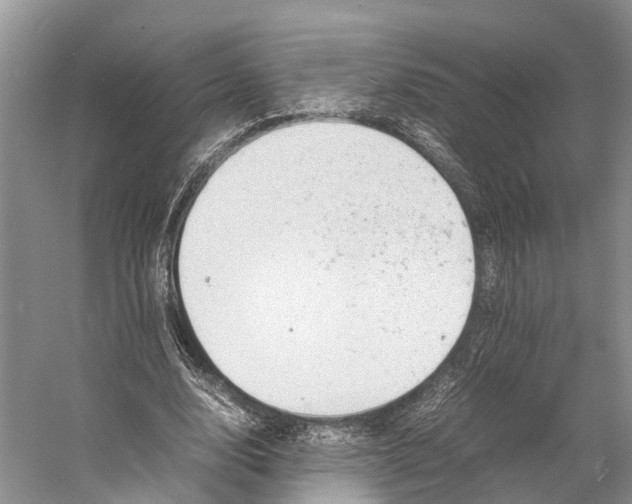 X0000053150632200508081411