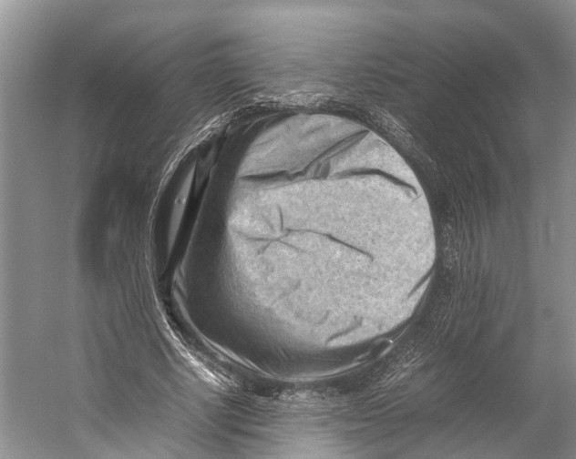 X0000053150634200508081411