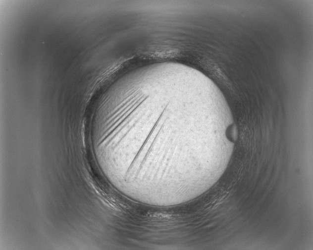 X0000053150635200508081411