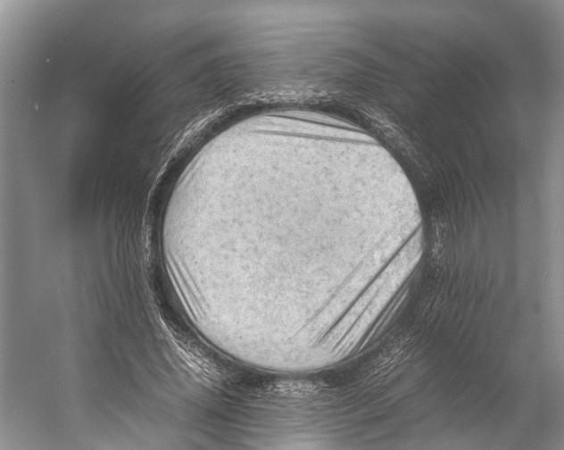 X0000053150636200508081411