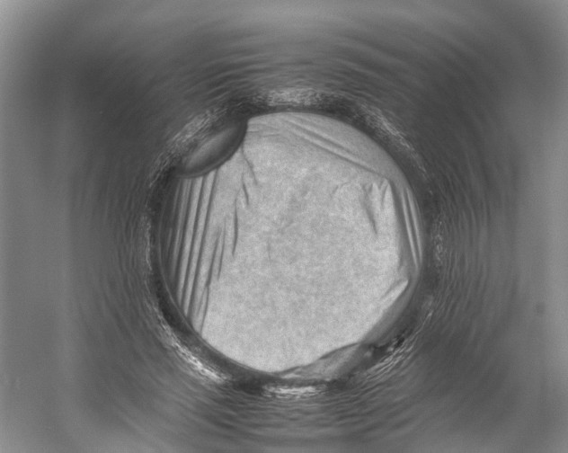 X0000053150637200508081411