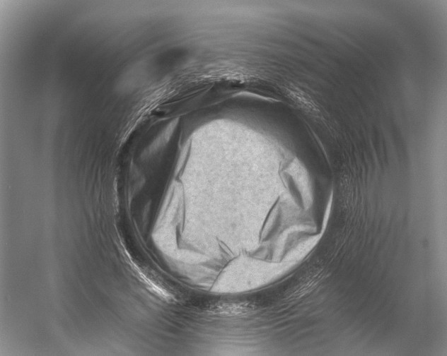 X0000053150638200508081411