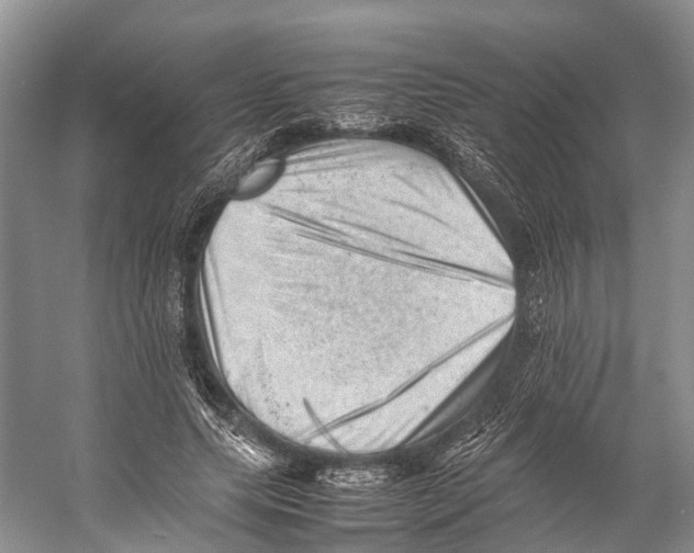 X0000053150639200508081411