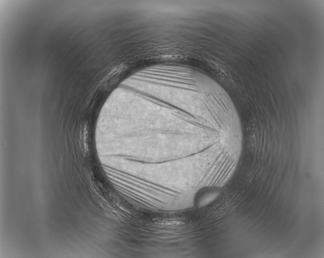 X0000053150643200508081411