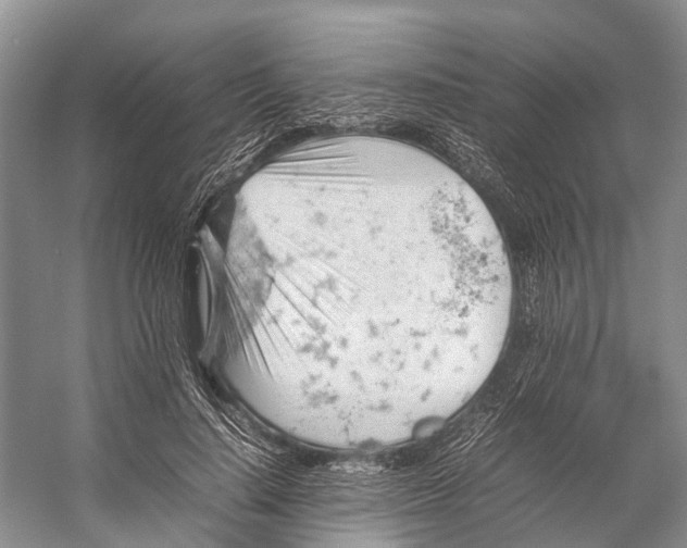 X0000053150644200508081411