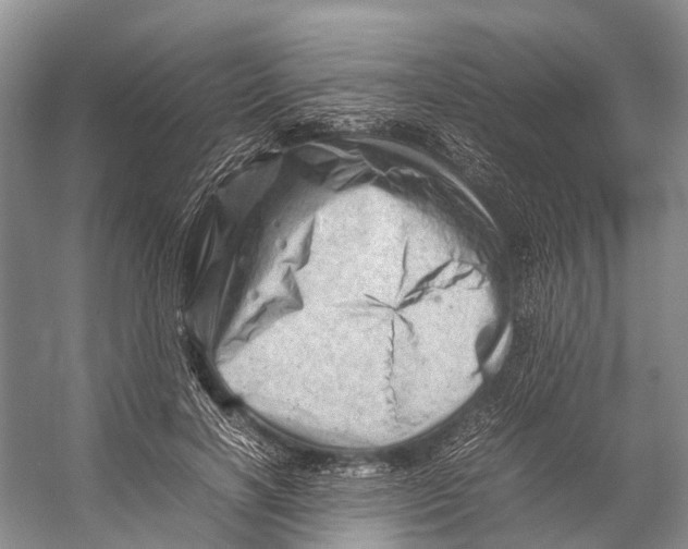 X0000053150646200508081411