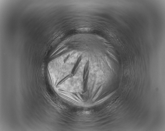 X0000053150647200508081411