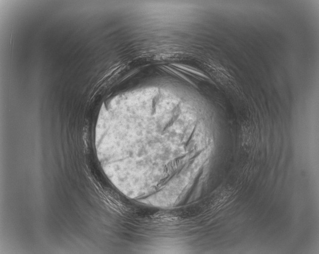 X0000053150648200508081411