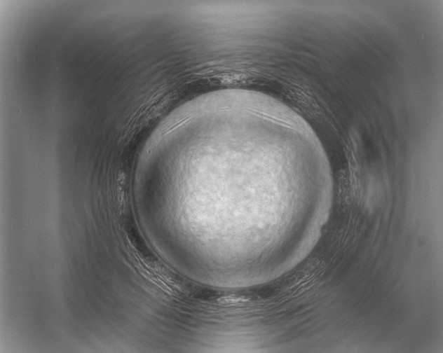 X0000053150650200508081411