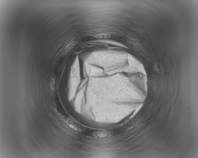 X0000053150652200508081411