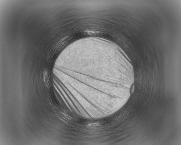 X0000053150653200508081412