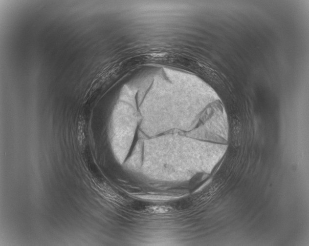 X0000053150654200508081412