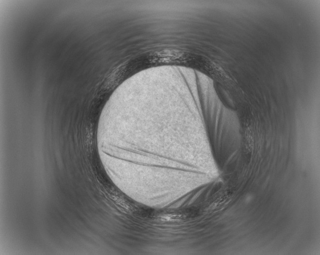 X0000053150657200508081412