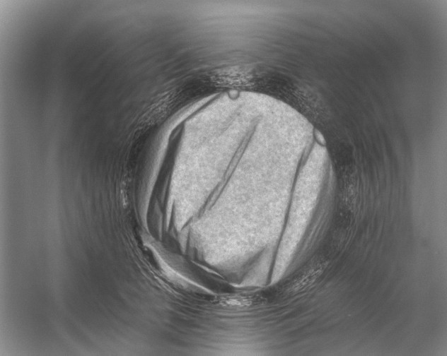 X0000053150658200508081412