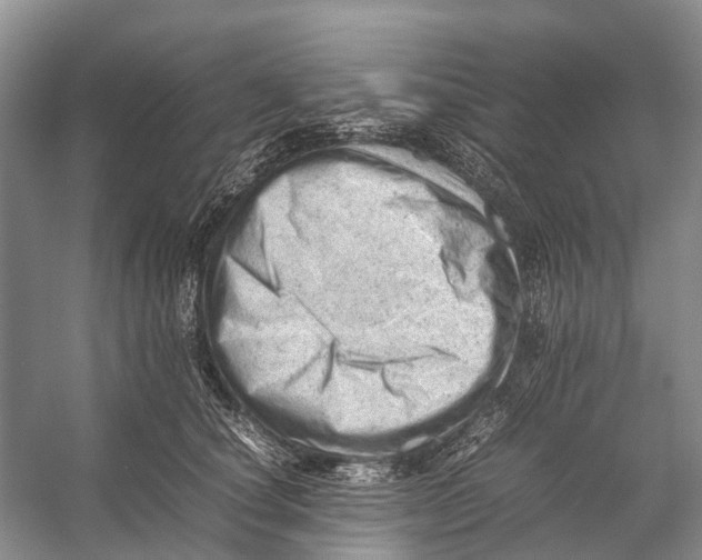 X0000053150660200508081412