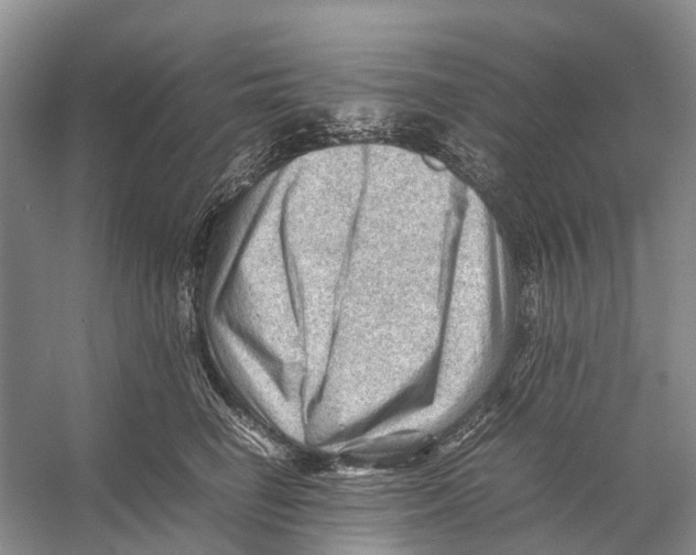 X0000053150662200508081412