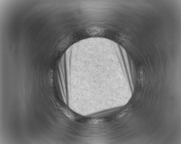 X0000053150664200508081412