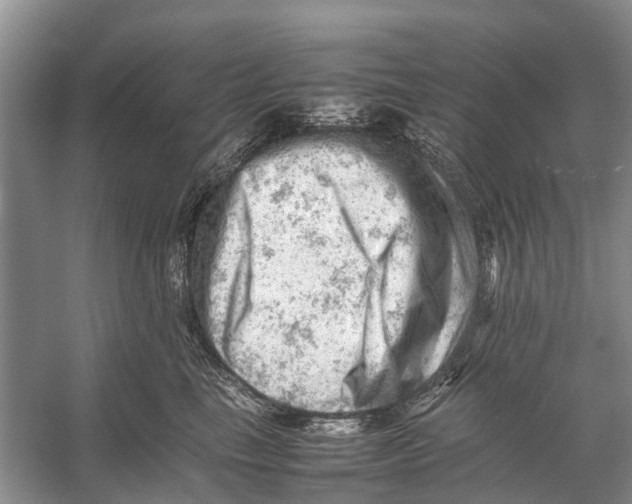 X0000053150665200508081412